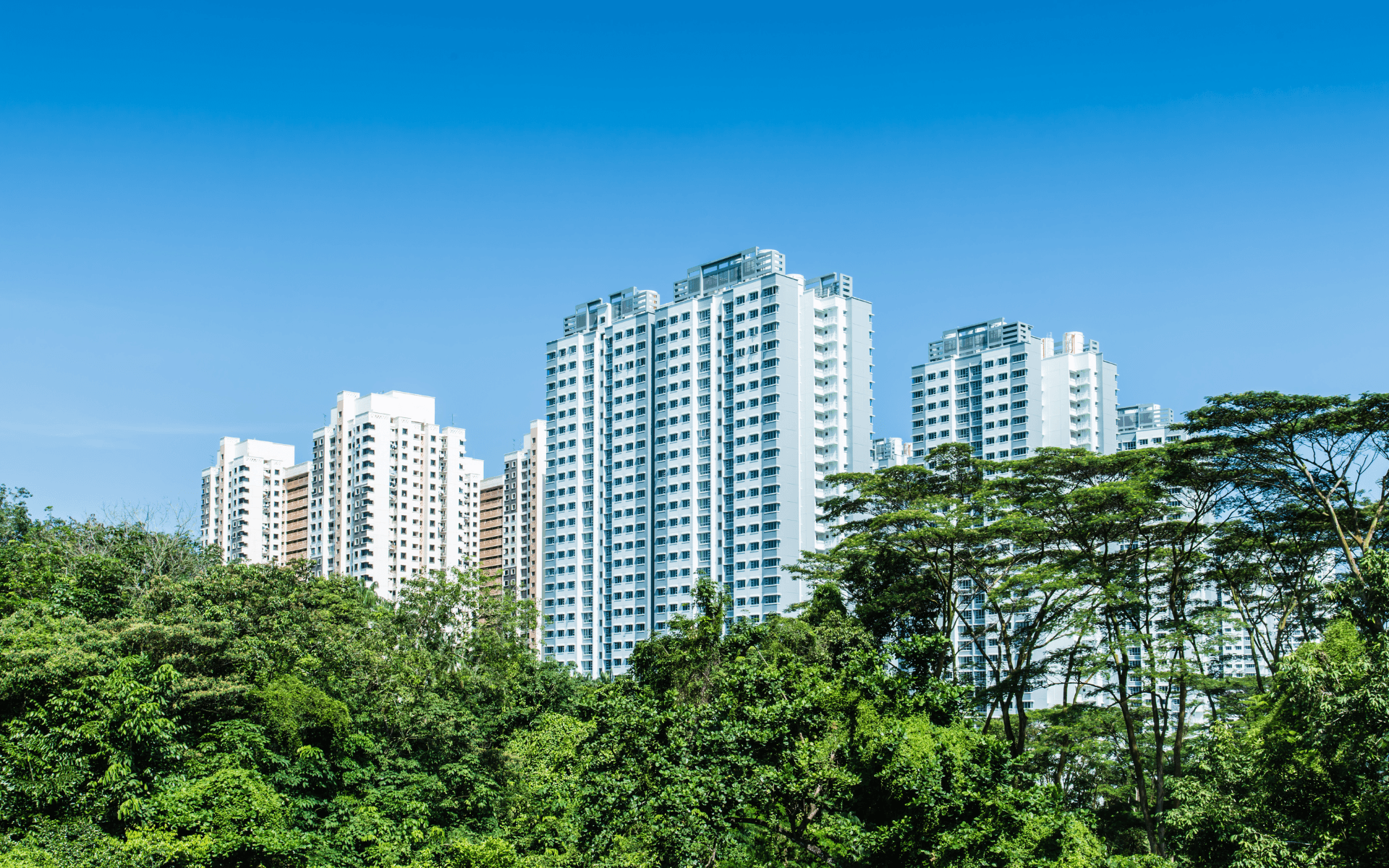 Consultora ambiental en Chile